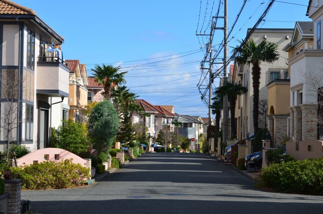 ヤシの木を扱う専門業者の選び方と失敗しない見極めポイント