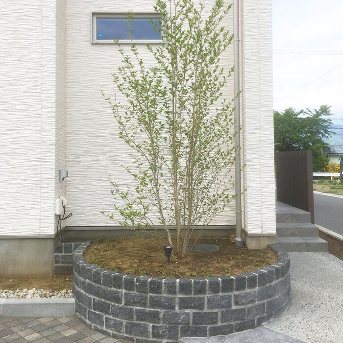 【植栽スペース:花壇編】ピンコロ石を使ったサークル状の花壇♪