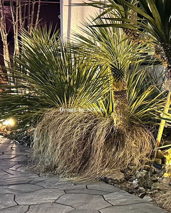 SEEDS事務所の夜景