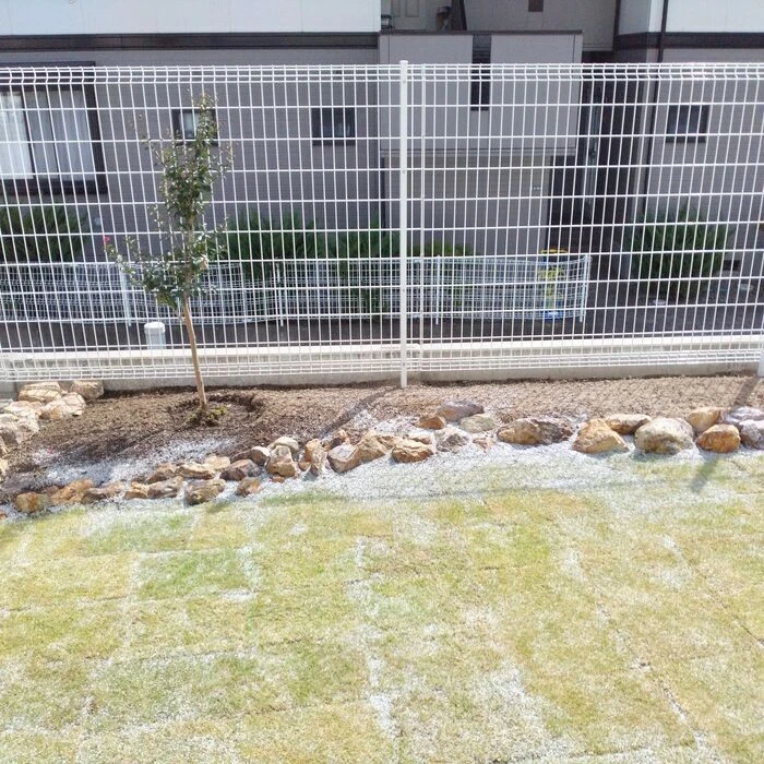 画像1474