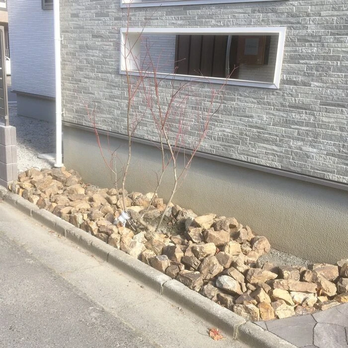 画像1476